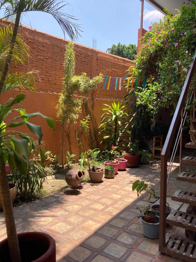 Calida Habitacion A 10 Min De Santo Domingo Oaxaca Exteriör bild