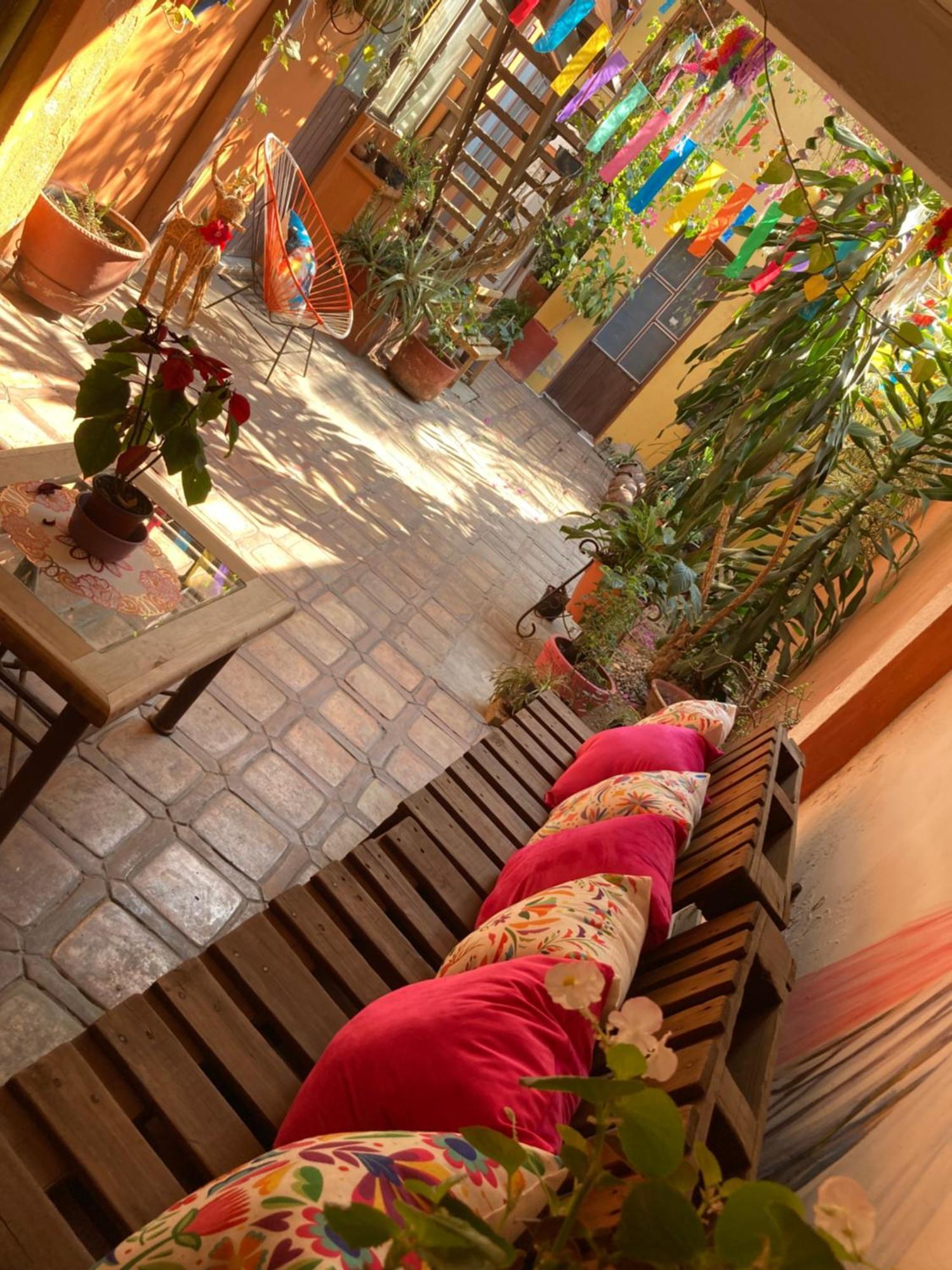 Calida Habitacion A 10 Min De Santo Domingo Oaxaca Exteriör bild